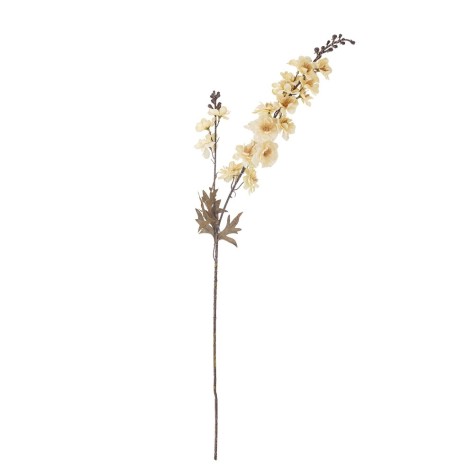 Tige Larkspur