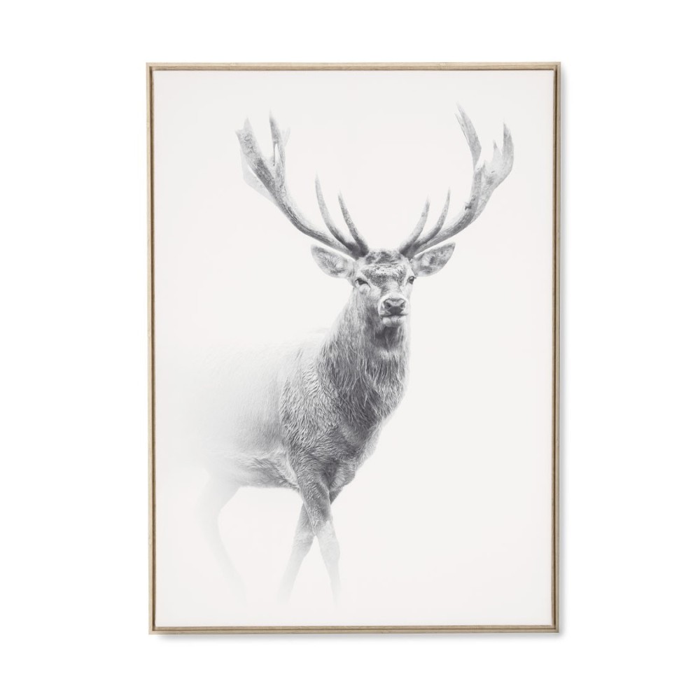 Toile Brume